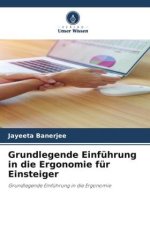 Grundlegende Einführung in die Ergonomie für Einsteiger