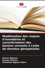 Modélisation des risques d'inondation et caractérisation des bassins versants ? l'aide de données géospatiales