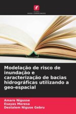 Modelaç?o de risco de inundaç?o e caracterizaç?o de bacias hidrográficas utilizando a geo-espacial