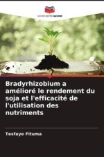 Bradyrhizobium a amélioré le rendement du soja et l'efficacité de l'utilisation des nutriments