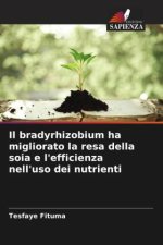 Il bradyrhizobium ha migliorato la resa della soia e l'efficienza nell'uso dei nutrienti