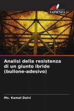 Analisi della resistenza di un giunto ibrido (bullone-adesivo)