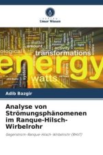 Analyse von Strömungsphänomenen im Ranque-Hilsch-Wirbelrohr