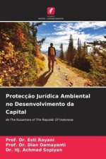 Protecç?o Jurídica Ambiental no Desenvolvimento da Capital