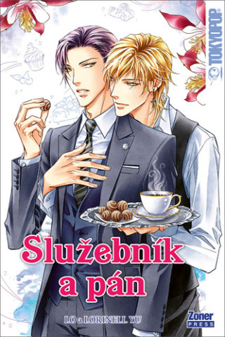 Sluďż˝ebnďż˝k a pďż˝n