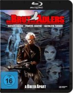 Die Brut des Adlers, 1 Blu-ray