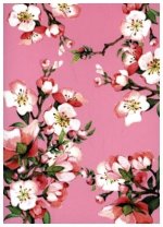 Heft A6 Kirschblüte