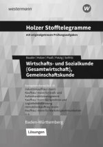 Holzer Stofftelegramme - Wirtschafts- und Sozialkunde (Gesamtwirtschaft). Kompetenzbereiche I-IV. Lösungen. Baden-Württemberg