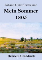 Mein Sommer 1805 (Großdruck)