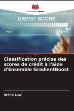 Classification précise des scores de crédit ? l'aide d'Ensemble GradientBoost