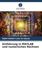 Einführung in MATLAB und numerisches Rechnen