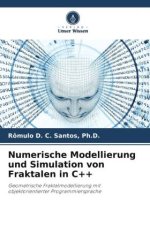 Numerische Modellierung und Simulation von Fraktalen in C++