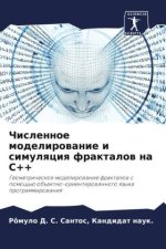 Chislennoe modelirowanie i simulqciq fraktalow na C++