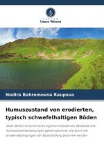 Humuszustand von erodierten, typisch schwefelhaltigen Böden