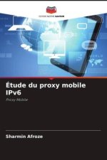 Étude du proxy mobile IPv6
