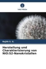 Herstellung und Charakterisierung von NiO:S2-Nanokristallen