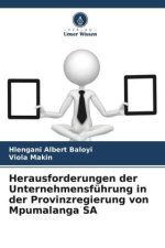 Herausforderungen der Unternehmensführung in der Provinzregierung von Mpumalanga SA
