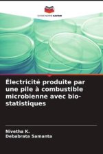 Électricité produite par une pile ? combustible microbienne avec bio-statistiques