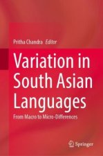 Variation in South Asian Languages