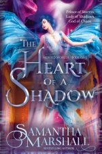 The Heart of a Shadow