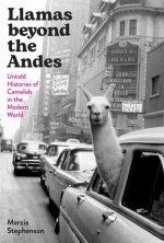 Llamas Beyond the Andes: Untold Histories of Camelids in the Global World