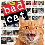Bad Cat Wall Calendar 2024
