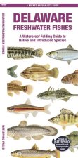 Delaware Freshwater Fishes: A Waterproof Folding Guide to Native and Introduced Species