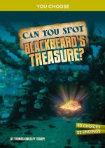 Can You Spot Blackbeard's Treasure?: An Interactive Treasure Adventure