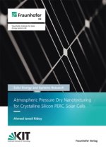 Atmospheric Pressure Dry Nanotexturing for Crystalline Silicon PERC Solar Cells.
