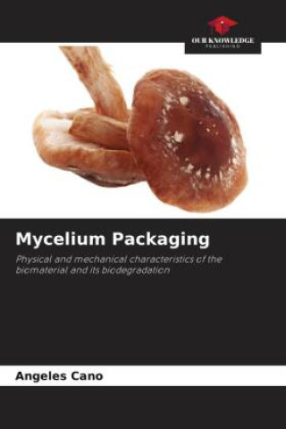 Mycelium Packaging