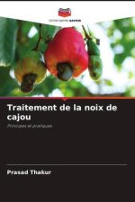 Traitement de la noix de cajou