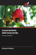 Lavorazione dell'anacardo