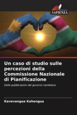 Un caso di studio sulle percezioni della Commissione Nazionale di Pianificazione