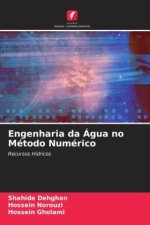 Engenharia da Água no Método Numérico