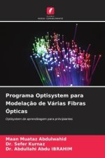 Programa Optisystem para Modelaç?o de Várias Fibras Ópticas