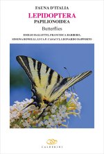 Lepidoptera Papilionoidea butterflies