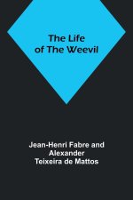 The Life of the Weevil