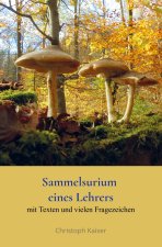 Sammelsurium eines Lehrers