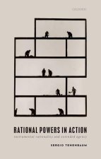 Rational Powers in Action Instrumental Rationality and Extended Agency (Paperback)