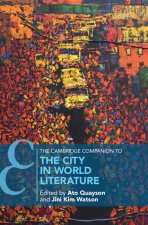 The Cambridge Companion to the City in World Literature