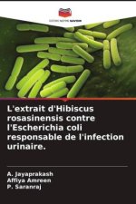 L'extrait d'Hibiscus rosasinensis contre l'Escherichia coli responsable de l'infection urinaire.