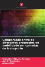 Comparaç?o entre os diferentes protocolos de mobilidade em camadas de transporte