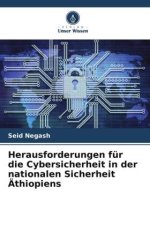 Herausforderungen für die Cybersicherheit in der nationalen Sicherheit Äthiopiens