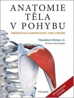 Anatomie těla v pohybu - Základní kurz anatomie kostí, svalů a kloubů