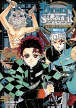 Demon Slayer - Livre de coloriage N°04