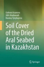 Soil Cover of the Dried Aral Seabed in Kazakhstan