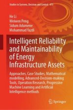 Intelligent Reliability and Maintainability of Energy Infrastructure Assets
