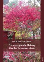 Anthroposophische Heilung über das Universum hinaus