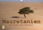 Mauretanien - Kaleidoskop einer Wüstenwelt (Wandkalender 2024 DIN A3 quer)