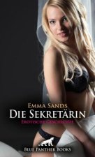 Die Sekretärin | Erotische Geschichte + 3 weitere Geschichten